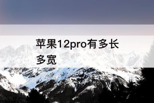 苹果12pro有多长多宽