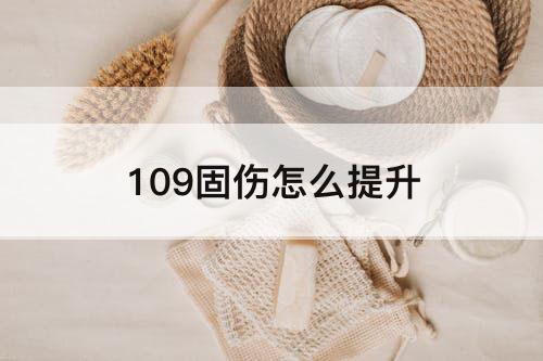 109固伤怎么提升