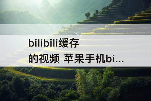 bilibili缓存的视频 苹果手机bilibili缓存的视频在哪