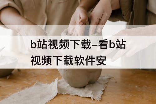 b站视频下载-看b站视频下载软件安