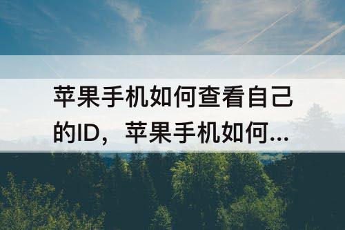 苹果手机如何查看自己的ID，苹果手机如何查看自己的id是多少