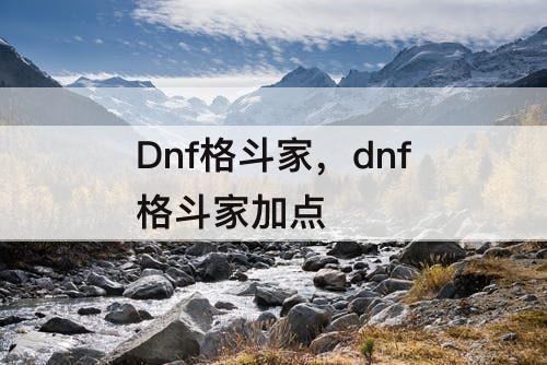 Dnf格斗家，dnf格斗家加点