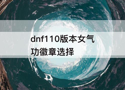 dnf110版本女气功徽章选择