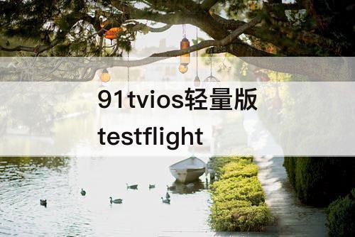 91tvios轻量版testflight