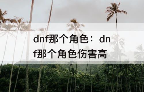 dnf那个角色：dnf那个角色伤害高