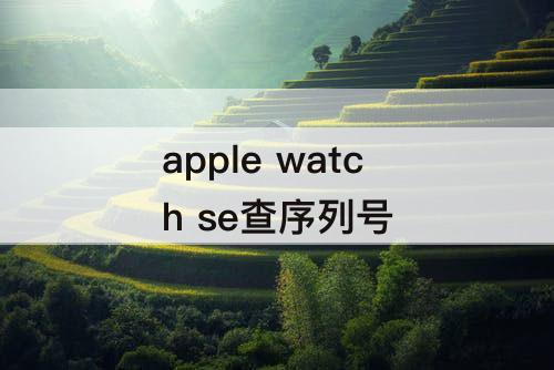 apple watch se查序列号
