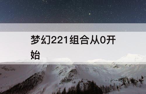 梦幻221组合从0开始
