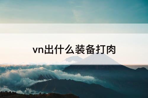 vn出什么装备打肉