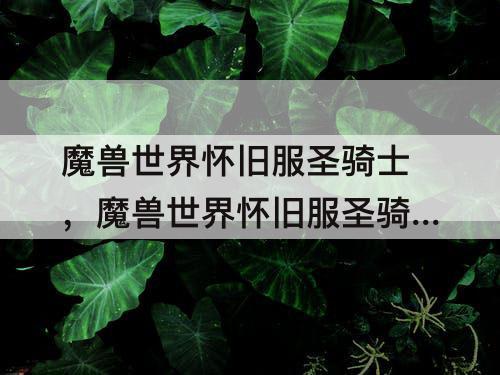 魔兽世界怀旧服圣骑士，魔兽世界怀旧服圣骑士练级天赋1-60