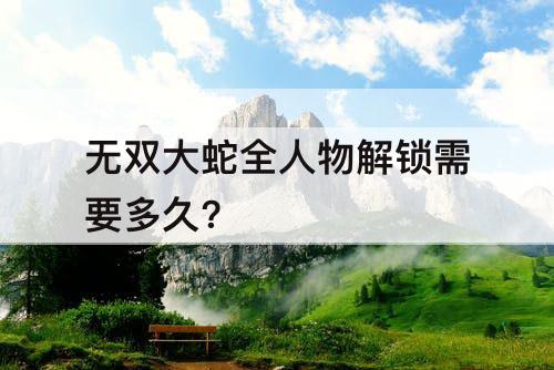 无双大蛇全人物解锁需要多久?