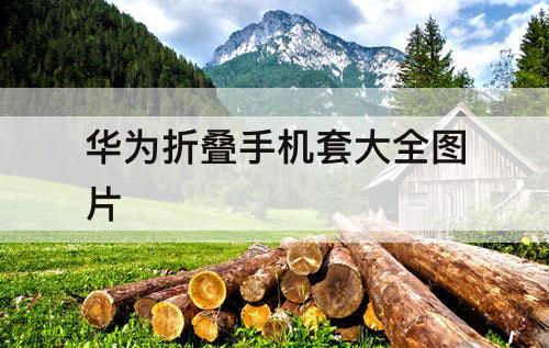 华为折叠手机套大全图片