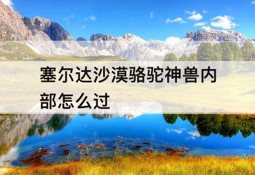 塞尔达沙漠骆驼神兽内部怎么过