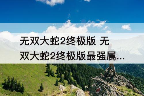 无双大蛇2终极版 无双大蛇2终极版最强属性搭配