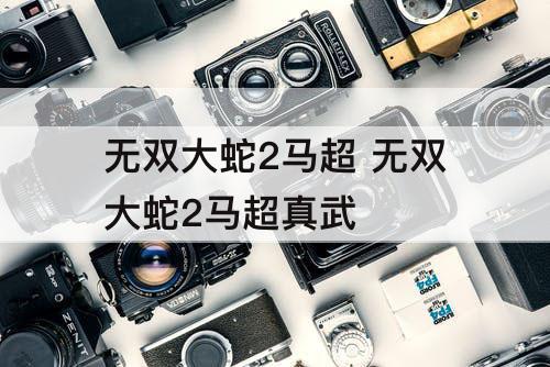 无双大蛇2马超 无双大蛇2马超真武