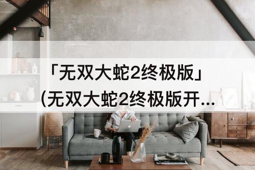 「无双大蛇2终极版」(无双大蛇2终极版开荒五十铃)