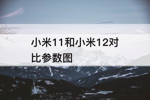 小米11和小米12对比参数图