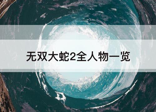 无双大蛇2全人物一览