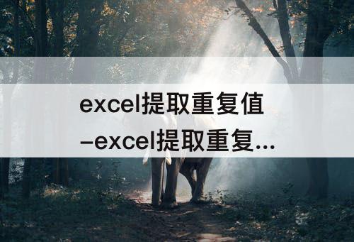 excel提取重复值-excel提取重复值的序号