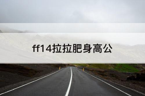 ff14拉拉肥身高公