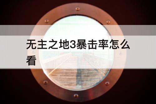 无主之地3暴击率怎么看