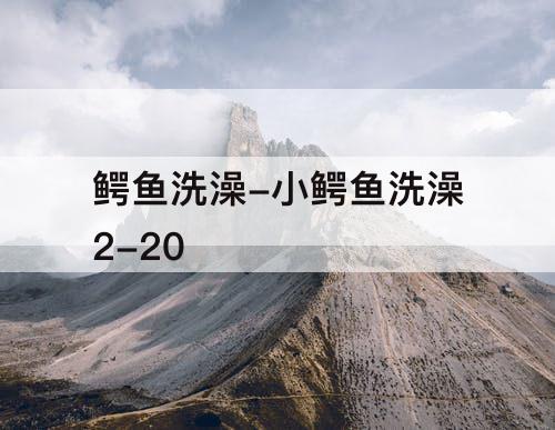 鳄鱼洗澡-小鳄鱼洗澡2-20