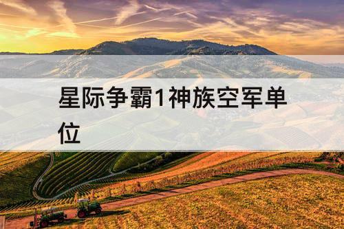 星际争霸1神族空军单位