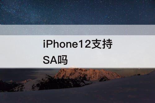 iPhone12支持SA吗