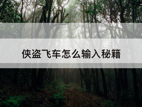 侠盗飞车怎么输入秘籍