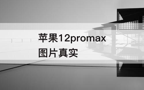 苹果12promax图片真实
