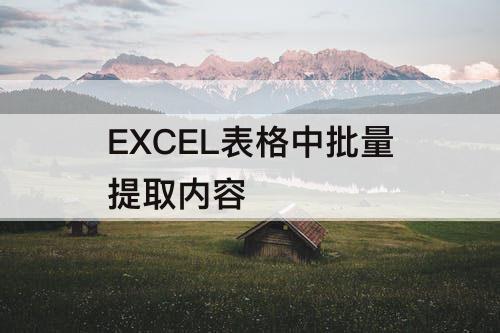 EXCEL表格中批量提取内容