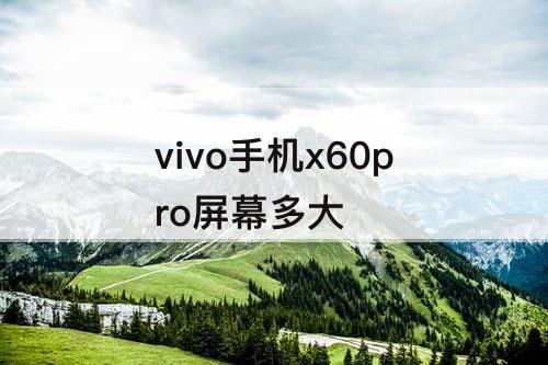 vivo手机x60pro屏幕多大