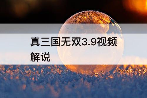 真三国无双3.9视频解说