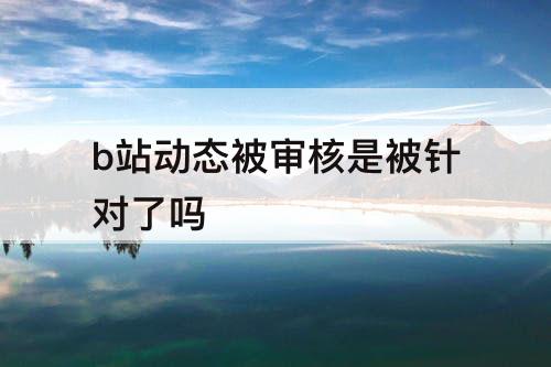 b站动态被审核是被针对了吗