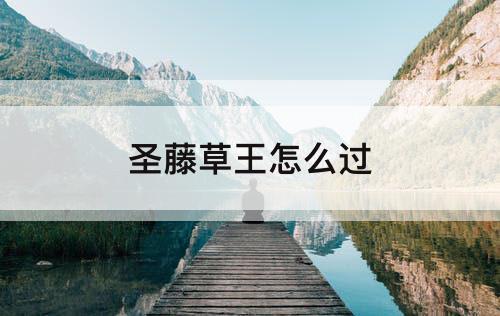 圣藤草王怎么过