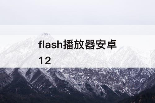 flash播放器安卓12