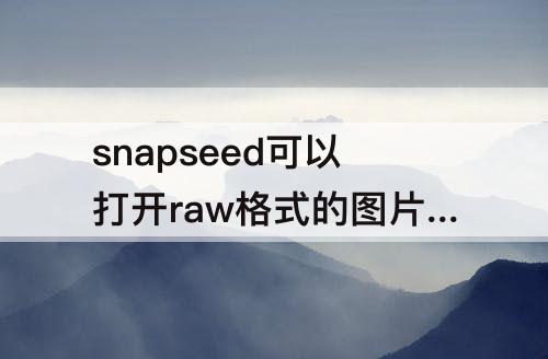 snapseed可以打开raw格式的图片么