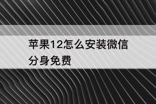苹果12怎么安装微信分身免费