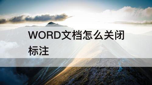 WORD文档怎么关闭标注
