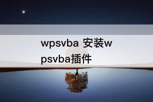 wpsvba 安装wpsvba插件