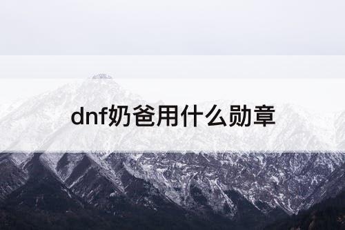 dnf奶爸用什么勋章