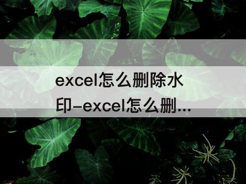 excel怎么删除水印-excel怎么删除水印页码