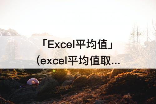 「Excel平均值」(excel平均值取整数)