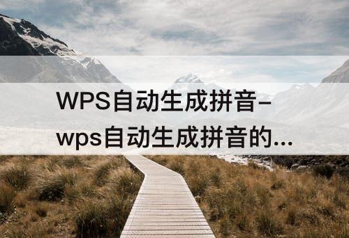 WPS自动生成拼音-wps自动生成拼音的函数是什么