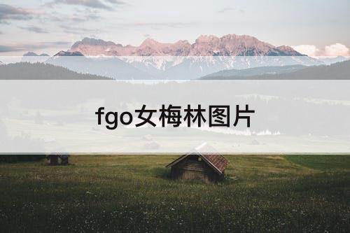 fgo女梅林图片