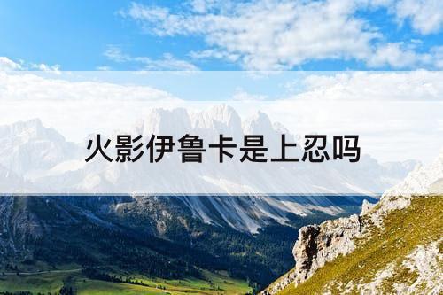 火影伊鲁卡是上忍吗