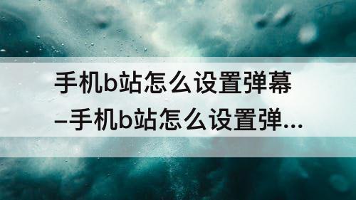 手机b站怎么设置弹幕-手机b站怎么设置弹幕屏蔽词