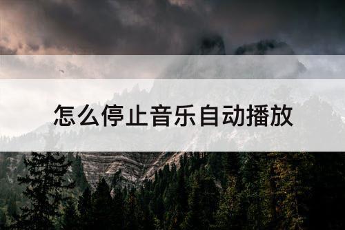 怎么停止音乐自动播放