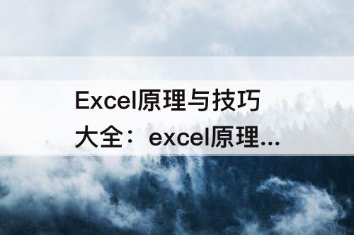 Excel原理与技巧大全：excel原理与技巧大全 百度网盘
