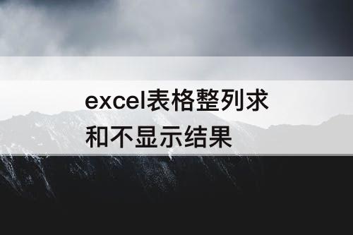 excel表格整列求和不显示结果