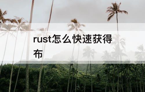rust怎么快速获得布